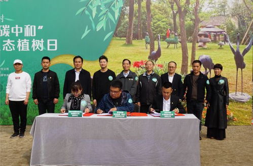金惠集团携手西安国际旅行社开展碳中和林植树活动